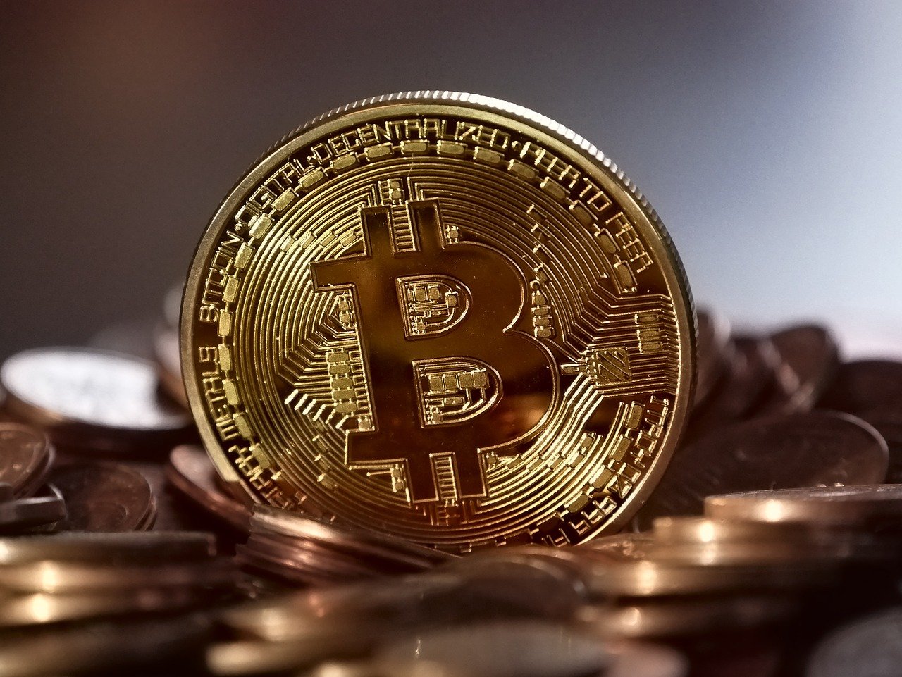 bitcoin in diretta applicazione di trading una moneta di btc