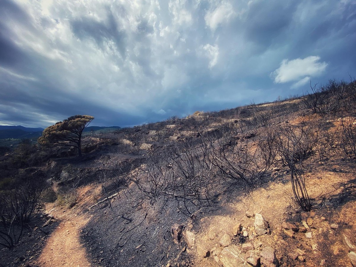 “Ardo et incendo”. Alla Galleria Artender di Alassio una mostra di fotografie che indaga il rapporto tra arte, paesaggio e tematiche ambientali