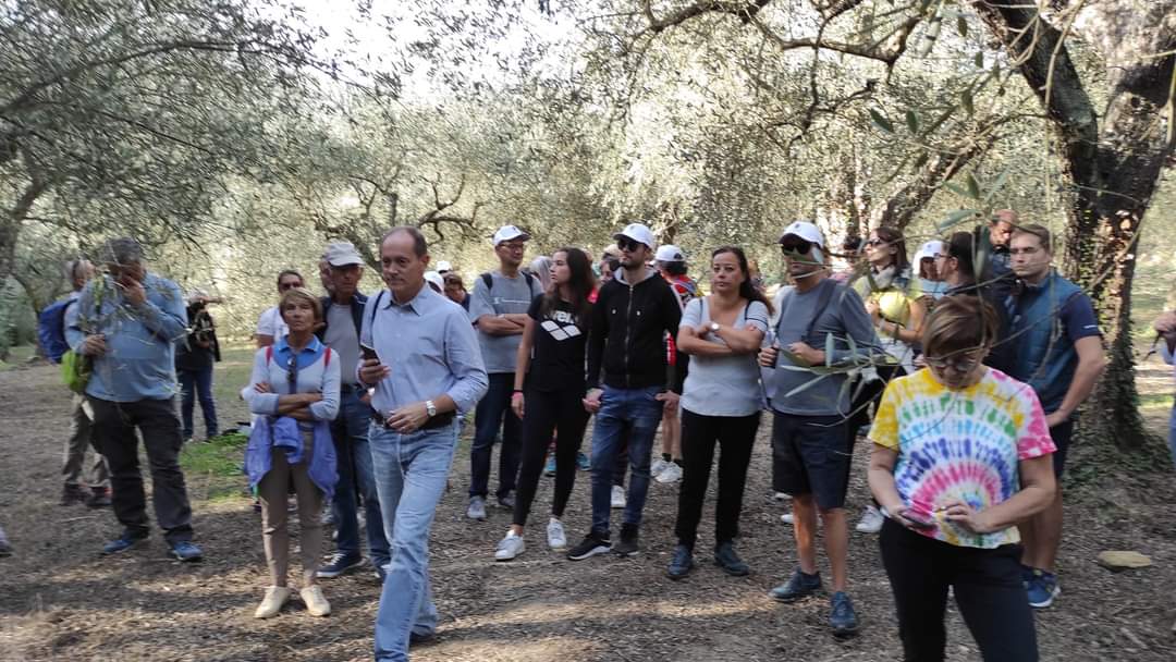 Domenica 29 ottobre ad Andora ritorna la Camminata fra gli ulivi – Savonanews.it Domenica 29 ottobre ad Andora ritorna la Camminata fra gli ulivi – Savonanews.it
