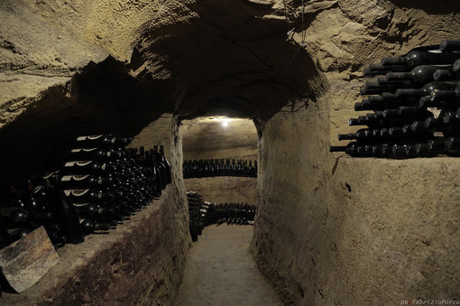 A Vignale Monferrato (AL), "Pomeriggio sulle Colline" con i Biologi per il Rinnovamento A Vignale Monferrato (AL), "Pomeriggio sulle Colline" con i Biologi per il Rinnovamento