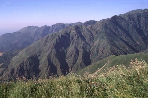 Wwf e Lega Abolizione Caccia: "In materia ambientale richieste inquietanti di maggiore autonomia da parte della Regione Liguria" Wwf e Lega Abolizione Caccia: "In materia ambientale richieste inquietanti di maggiore autonomia da parte della Regione Liguria"