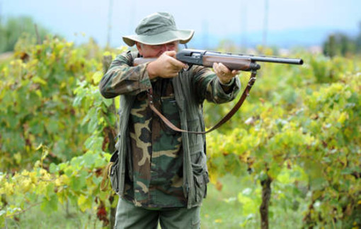 Il Consiglio di Stato respinge l'appello della Regione Liguria: resta sospesa la caccia in deroga allo storno Il Consiglio di Stato respinge l'appello della Regione Liguria: resta sospesa la caccia in deroga allo storno