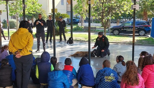 Taggia, gli studenti del Pastonchi a lezione dal cane Cocis del Nucleo Carabinieri Cinofili di Villanova Taggia, gli studenti del Pastonchi a lezione dal cane Cocis del Nucleo Carabinieri Cinofili di Villanova