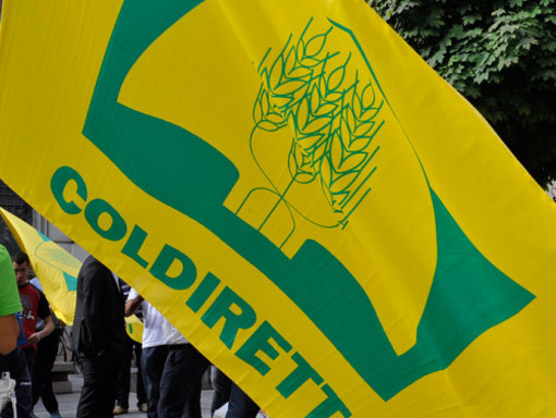 Gas, Coldiretti: "A novembre bolletta in aumento del +13,7%" Gas, Coldiretti: "A novembre bolletta in aumento del +13,7%"