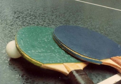 Tennis tavolo, Sergo e Malagoli vincitori nella prima tappa del provinciale Tennis tavolo, Sergo e Malagoli vincitori nella prima tappa del provinciale