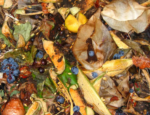 Albenga, smaltimento rifiuti agricoli: la CIA propone soluzioni alternative Albenga, smaltimento rifiuti agricoli: la CIA propone soluzioni alternative
