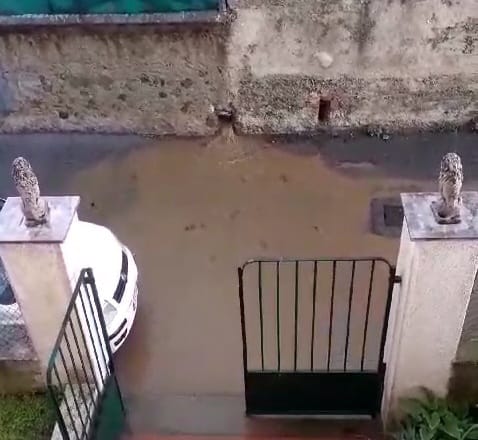 Sversamento fogna in via Piave ad Albisola, disperato un abitante: "Quando piove non riusciamo ad uscire di casa, non sappiamo più cosa fare" (FOTO e VIDEO) Sversamento fogna in via Piave ad Albisola, disperato un abitante: "Quando piove non riusciamo ad uscire di casa, non sappiamo più cosa fare" (FOTO e VIDEO)