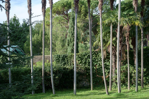 In mostra ad Euroflora "La quiete prima della tempesta"