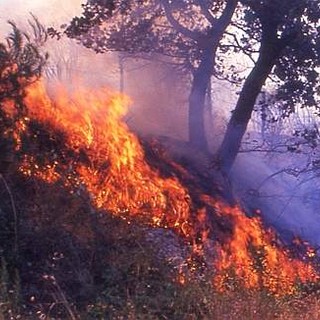 Deceduta una donna nell’incendio di Castelbianco
