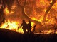 Il WWF ligure chiede il ripristino dello stato di grave pericolosità per gli incendi boschivi