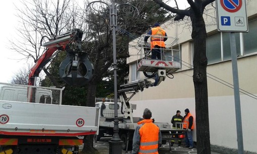 Albenga, camion abbatte un palo della luce in viale Pontelungo