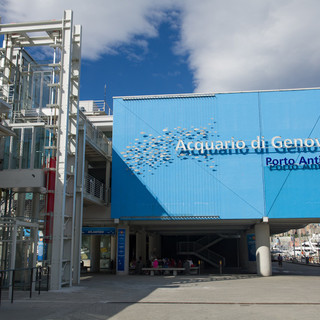 L’Acquario di Genova nuovo partner del programma Millemiglia di Alitalia