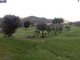 Il Golf Club Albisola Superiore Il Golf Club Albisola Superiore