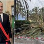 Palme da abbattere a Loano, Cepollina: "Dispiace vedere trasformato un tema di sicurezza pubblica in una polemica politica" Palme da abbattere a Loano, Cepollina: "Dispiace vedere trasformato un tema di sicurezza pubblica in una polemica politica"