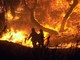 Incendi boschivi, i Verdi: "Situazione critica, ma dopo le prime piogge si dimentica il problema" Incendi boschivi, i Verdi: "Situazione critica, ma dopo le prime piogge si dimentica il problema"