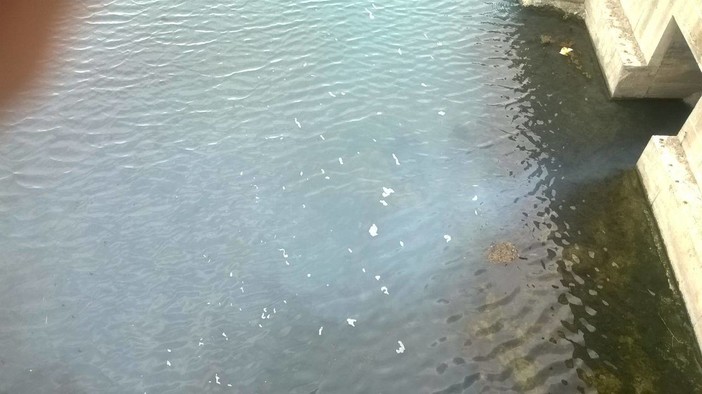 Inquinamento alla foce del Letimbro? Disagio segnalato alla sala operativa della Polizia Locale e all'Arpal Inquinamento alla foce del Letimbro? Disagio segnalato alla sala operativa della Polizia Locale e all'Arpal