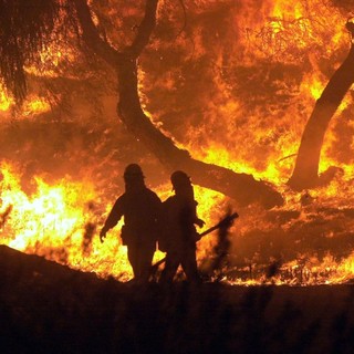 Incendi boschivi, i Verdi: "Situazione critica, ma dopo le prime piogge si dimentica il problema"