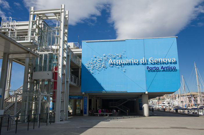 L’Acquario di Genova nuovo partner del programma Millemiglia di Alitalia