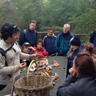 Con il Parco del Beigua scopriamo il mondo dei funghi nella Foresta della Deiva a Sassello