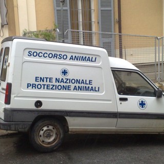 ENPA Risponde al sindaco Delfino di Varazze