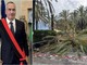 Palme da abbattere a Loano, Cepollina: "Dispiace vedere trasformato un tema di sicurezza pubblica in una polemica politica" Palme da abbattere a Loano, Cepollina: "Dispiace vedere trasformato un tema di sicurezza pubblica in una polemica politica"