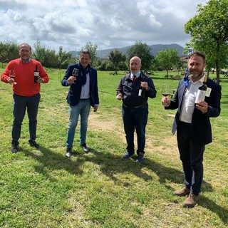 Tra costa ed entroterra, il vicepresidente regionale Piana nel savonese per parlare di vitivinicoltra