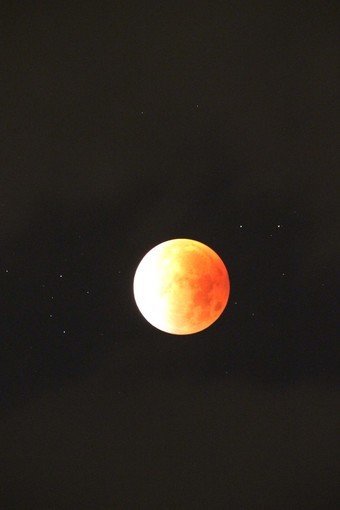 Eclissi di Luna e opposizione di marte, informazioni utili per osservare il fenomeno Eclissi di Luna e opposizione di marte, informazioni utili per osservare il fenomeno