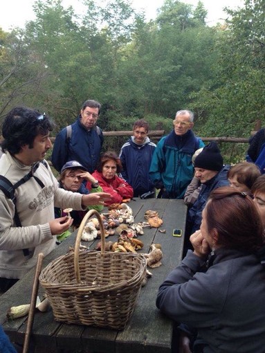 Con il Parco del Beigua scopriamo il mondo dei funghi nella Foresta della Deiva a Sassello Con il Parco del Beigua scopriamo il mondo dei funghi nella Foresta della Deiva a Sassello