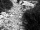 Bandita la III edizione del concorso fotografico "Scatto in Val Varatella" Bandita la III edizione del concorso fotografico "Scatto in Val Varatella"