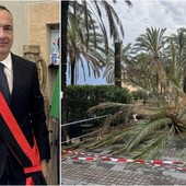 Palme da abbattere a Loano, Cepollina: "Dispiace vedere trasformato un tema di sicurezza pubblica in una polemica politica"