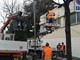 Albenga, camion abbatte un palo della luce in viale Pontelungo Albenga, camion abbatte un palo della luce in viale Pontelungo