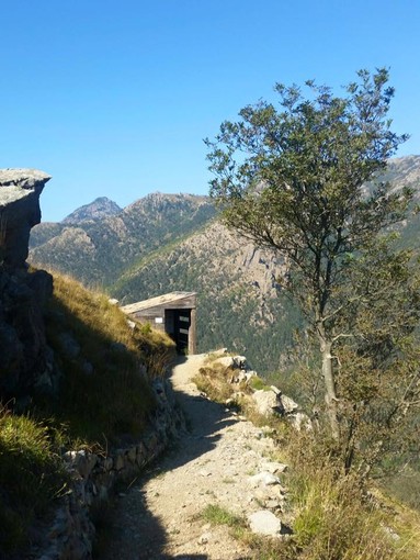 Darwin Day 2017 nel Beigua Geopark: doppio appuntamento per festeggiare il compleanno del celebre naturalista inglese Darwin Day 2017 nel Beigua Geopark: doppio appuntamento per festeggiare il compleanno del celebre naturalista inglese