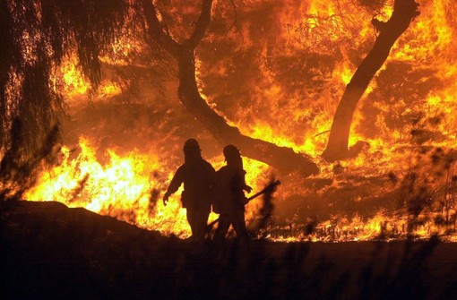 Incendi e roghi, i sindacati dei vigili del fuoco: "Sulla sicurezza non si scherza" Incendi e roghi, i sindacati dei vigili del fuoco: "Sulla sicurezza non si scherza"