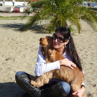 Finiti nel traffico internazionale di cane: cocker sottratti a Stella già registrati in Germania