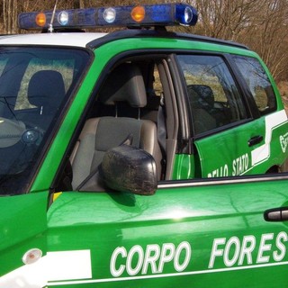Savona: Primo Maggio, i controlli della forestale
