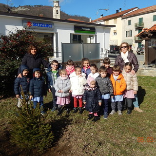 Pallare: trapiantato l’alberello di Natale della Scuola dell’Infanzia Pallare: trapiantato l’alberello di Natale della Scuola dell’Infanzia