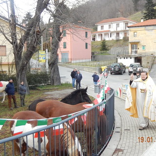 A Pallare la benedizione degli animali per la festa di Sant'Antonio (FOTO)