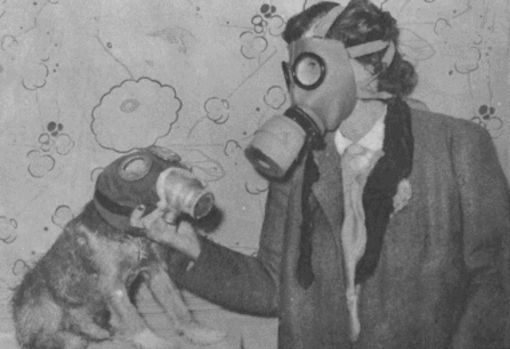 "Nube tossica" tra Albenga e Ceriale: la bella idea di dar fuoco a rosmarino, plastica e diserbanti insieme