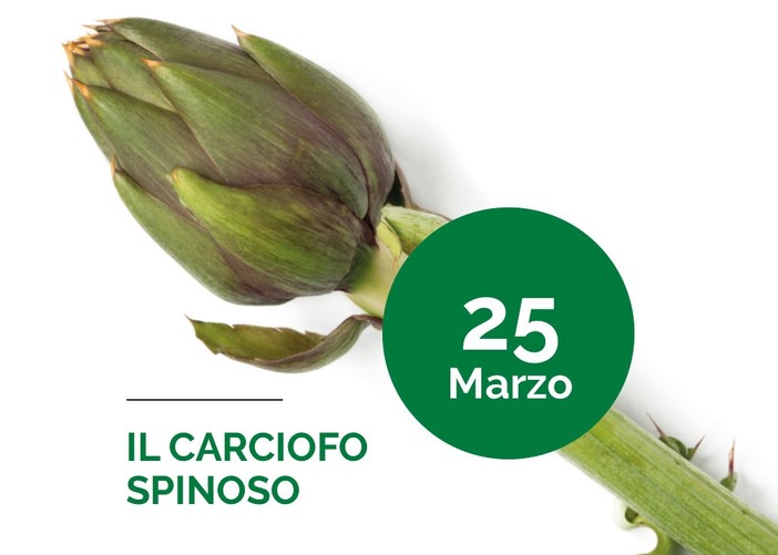 "Albenga in tavola": ecco dove trovare i prodotti a base di carciofo