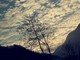 #Meteo, settimana all'insegna della primavera: temperature in aumento