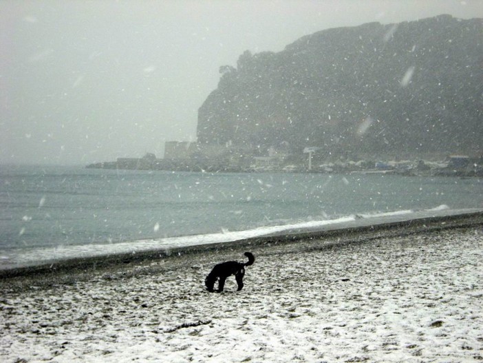 Immacolata "imbiancata": dall'8 dicembre arriva la neve