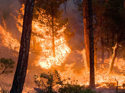 Continua il supporto dei volontari antincendio boschivo della Liguria in Piemonte