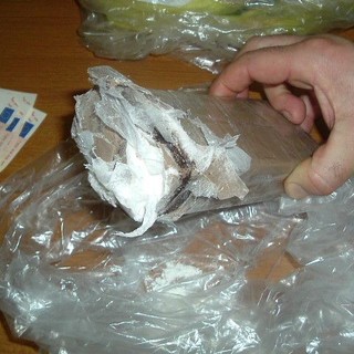 Maxi operazione antidroga al Porto di Vado: trovati più di duecento chili di cocaina