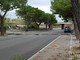 Alberi caduti e insegne pericolanti, giornata di interventi per i Vigili del Fuoco in Provincia di Savona