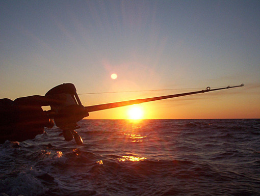 Pesca: sbloccati i pagamenti per la cassa integrazione 2013