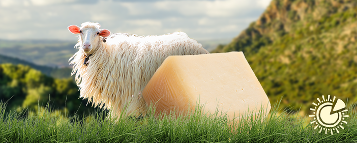 Pecorino: un’eccellenza sarda da primato
