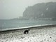 Immacolata "imbiancata": dall'8 dicembre arriva la neve