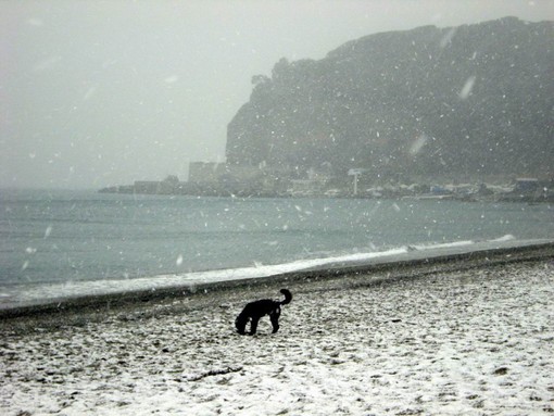 Immacolata "imbiancata": dall'8 dicembre arriva la neve