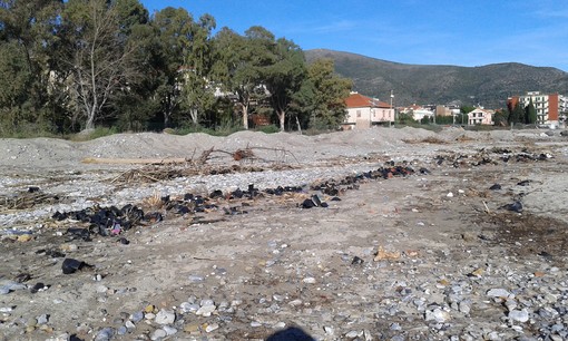 Allagamenti nelle serre di Albenga: le spiagge di Ceriale invase dai vasetti di piante Allagamenti nelle serre di Albenga: le spiagge di Ceriale invase dai vasetti di piante