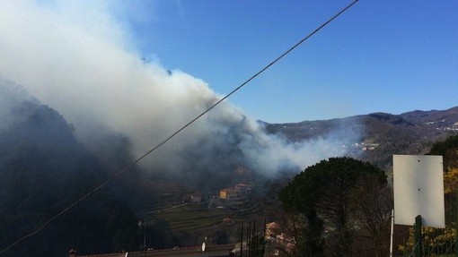 Immagine di repertorio